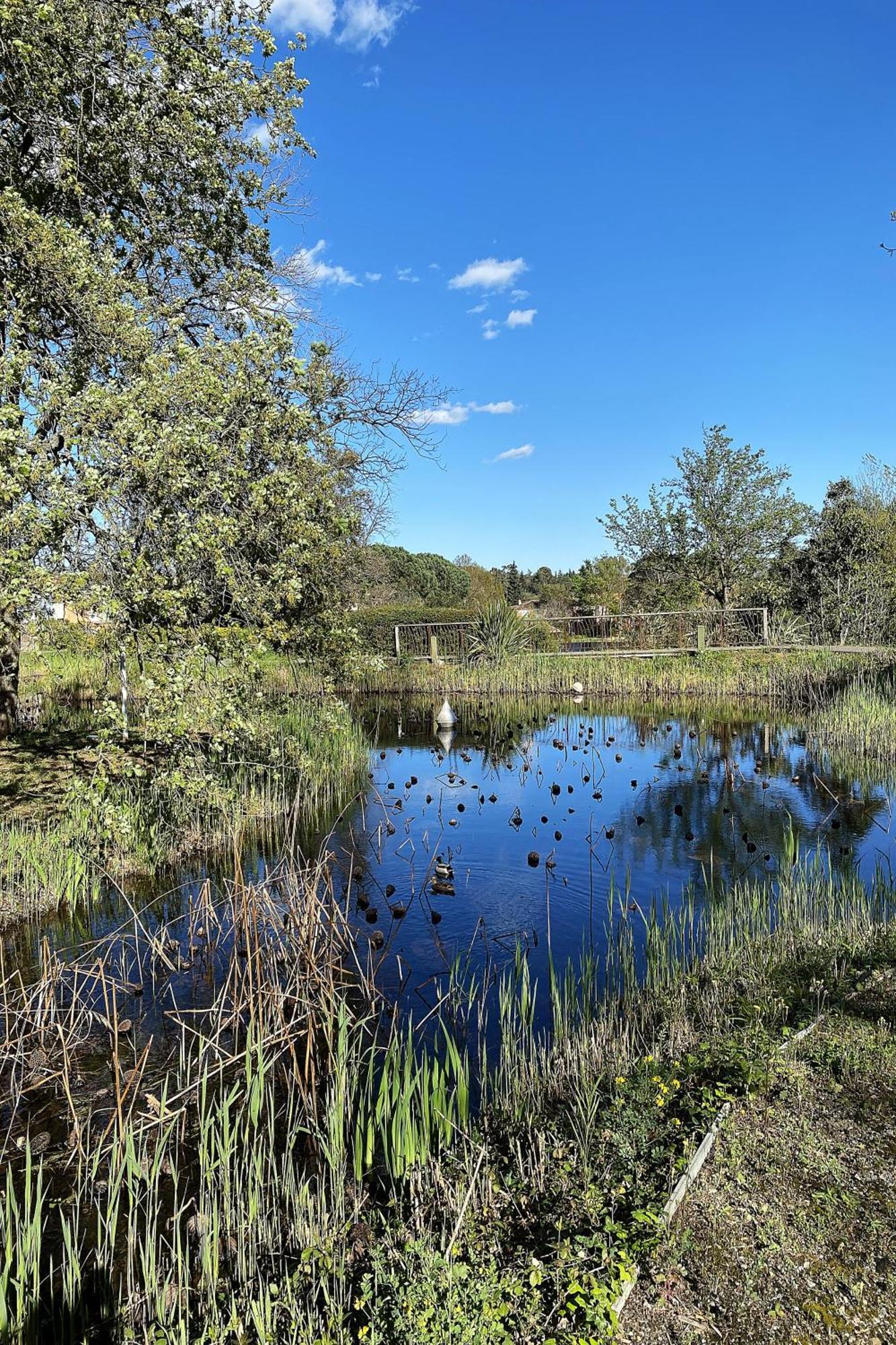 Les Bastides 3124 Βίλα Grimaud Εξωτερικό φωτογραφία